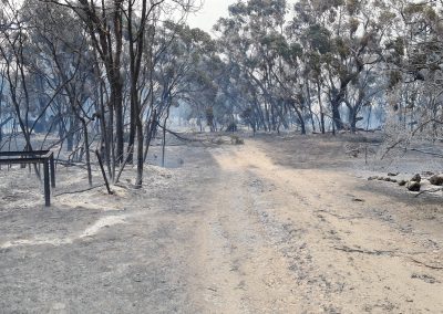 The aftermath of the Blackford-Avenue Range bushfire on 21 January 2021