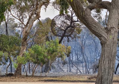 A view from the Riggs' property after the Blackford-Avenue Range bushfire passed through on 11 January 2021